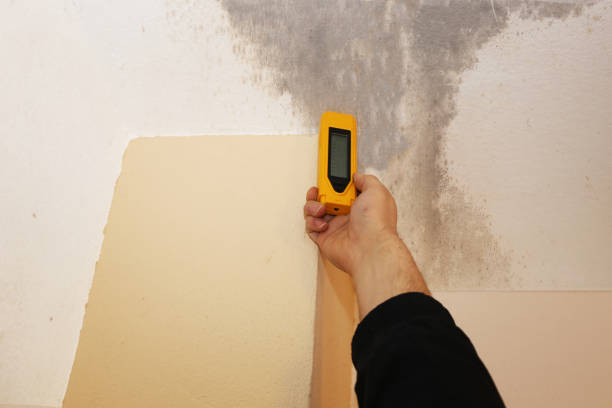 Best Biohazard Mold Removal  in Bethel, AK