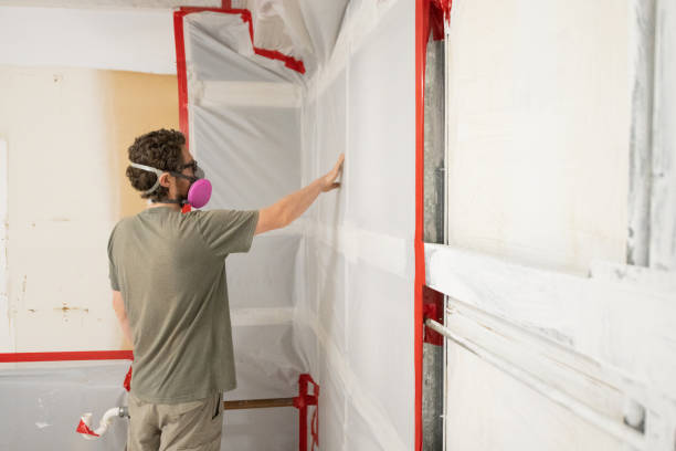Dehumidification Services in Bethel, AK