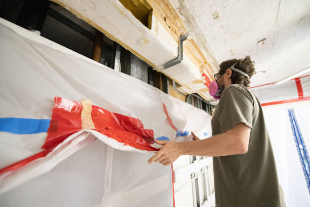Best Attic Mold Removal  in Bethel, AK