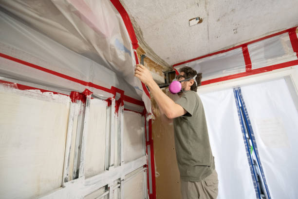 Bethel, AK Mold Removal Company
