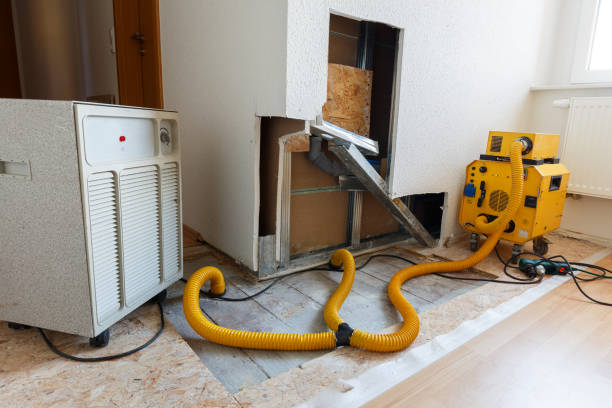 Best Industrial Mold Remediation  in Bethel, AK