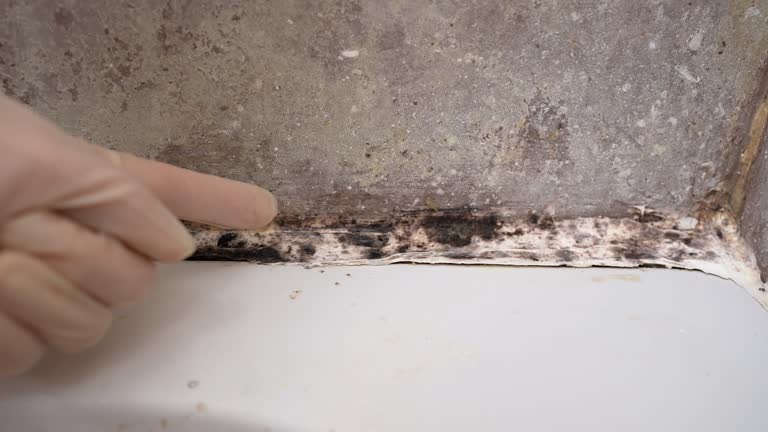 Best HVAC Mold Inspection and Cleaning  in Bethel, AK